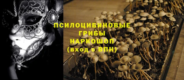 Альфа ПВП Абаза
