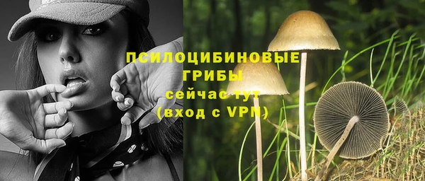 Альфа ПВП Абаза